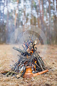 At the stake in the spring forest, a clay Turkish coffee pot is heated against the grass.