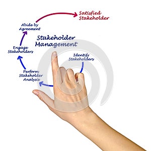 Stakeholder Management