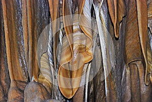 Stalactite cave, Israel