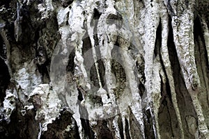 Stalactite cave wall, abstract stone wall