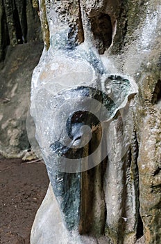 Stalactite with elephant shape