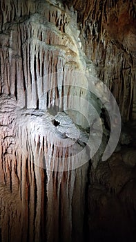 Stalactite formations in Buchan Caves