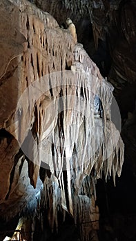 Stalactite formations in Buchan Caves