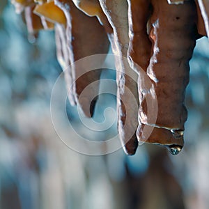 Stalactite stalagmite cavern