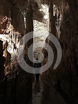 Stalactite and stalagmite of Postojna Cave.