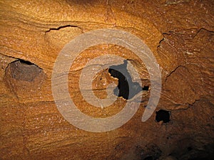 Stalactites in the Barton Creek Cave, Belize photo