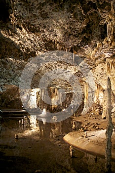 Stalactites in the cave Punkva, Moravian Karst