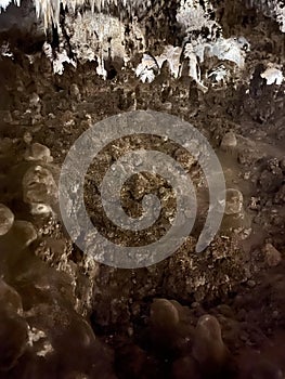 Stalactites and Stalagmite and other rock formations inside the Big Room in Carlsbad Cavern