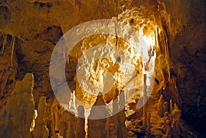 Stalagmite in cave