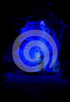 Stalagmite Lit In Blue