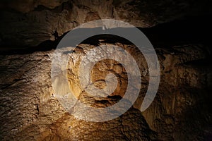 Stalagmite rock formation in Ruakuri Cave, Waitomo, NZ photo