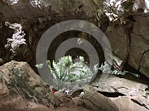 Stalagmite Stalactite in Hup Pa Tat at Thailand