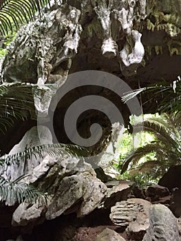 Stalagmite Stalactite in Hup Pa Tat at Thailand