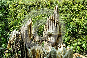 Stalagmites