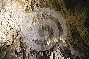 Stalagtites in the Ruakuri Cave photo