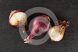 Stale red onion on grey stone