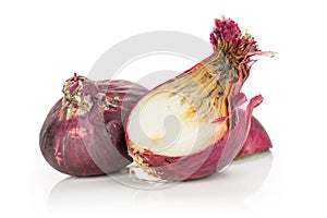 Stale red onion isolated on white