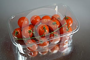 Stale tomatoes in a plastic box.