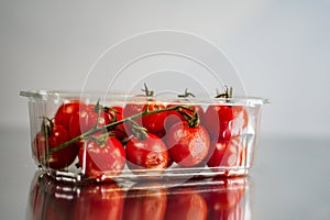 Stale tomatoes in a plastic box.