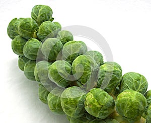 Stalk of brussels sprouts