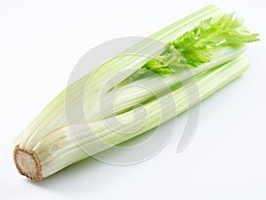 Stalk of celery