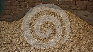 A stalk or stem of wheat called as straw.