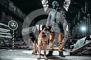 Stalker in gas mask and dog in radioactive zone