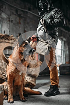 Stalker in gas mask and dog in ruins, survivors