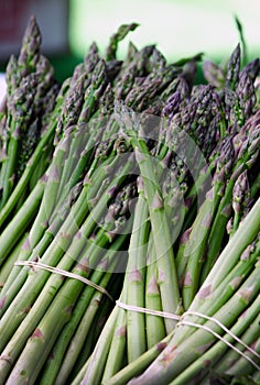 stalks of young fresh asparagus