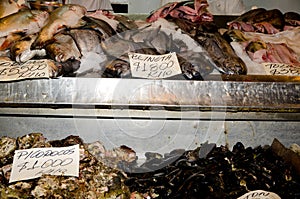 Stall of fishes and shellfishes at the central market. photo