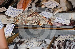 Stall of fishes and shellfishes at the central market. photo