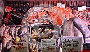 Stall of freshwater fishes in a market of Budapest, Hungary.