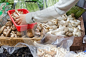 Stall with mushrooms and asparagus sprouts, hand fills the basket with mushrooms