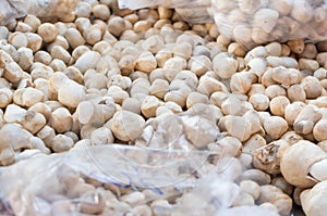 Stall of mushrooms at the market