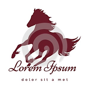 Stallion Logo photo