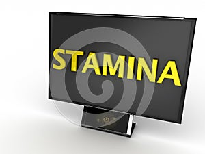 Stamina Monitor