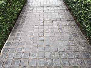 Stamp concrete black color hardener printing patterns on the cement or mortar surface block shape Square pattern material rough photo