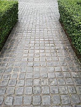 Stamp concrete black color hardener printing patterns on the cement or mortar surface block shape Square pattern material rough photo