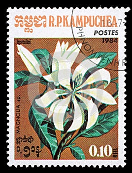 Stamp printed in the Cambodia, depicts a flower Magnolia