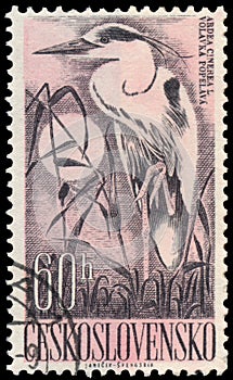 Stamp printed by Czechoslovakia shows grey heron