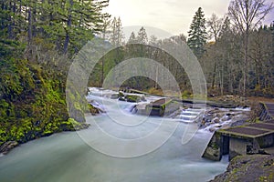 Stamp River Falls in Port Alberni, Vancouver Island, Canada