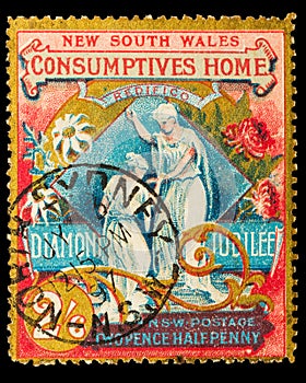 A large, ornate 1897 charity stamp from New South Wales, Australia
