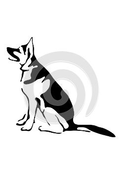 Silhouette of a German Shepherd dog photo