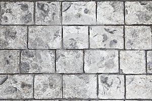 Stamped concrete floor background