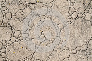 Stamped concrete pavement, boulders stones pattern, flooring exterior, decorative gray cement paving