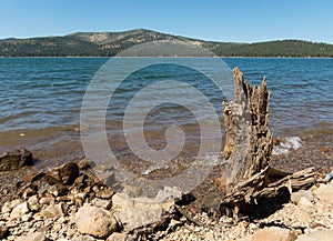 Stampede Reservoir, northern California