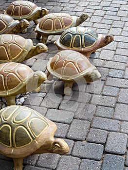 Stampeding turtles