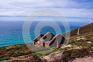 view of Wheal Coates on the clifftops photo