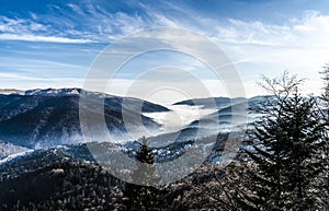 Stana Regala Romania