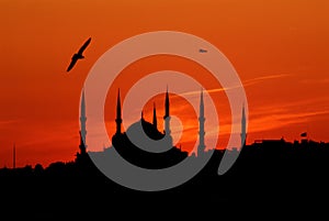blue mosque at sunset in the evening.